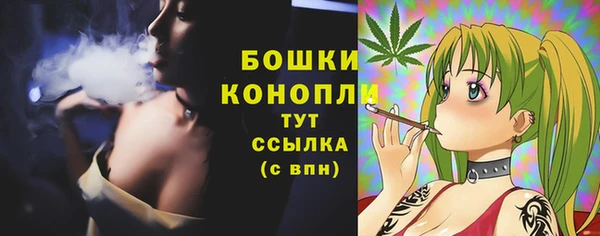 Альфа ПВП Нестеровская