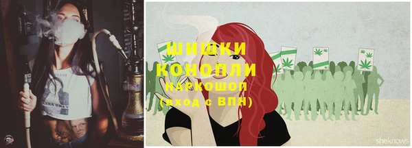 Альфа ПВП Нестеровская