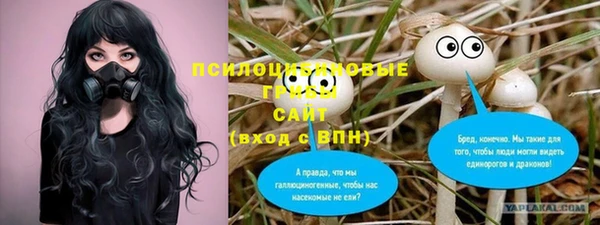 спиды Калининец