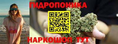 прущие грибы Дубна